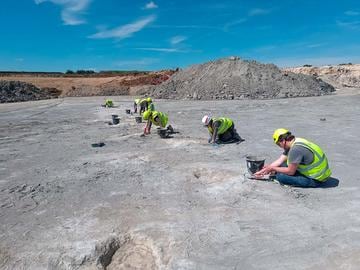 Autopista de 166 millones de años de antigüedad llena de huellas de dinosaurio