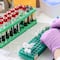 Día Internacional de la Mujer y la Niña en la Ciencia 2022: 5 científicas mexicanas a celebrar