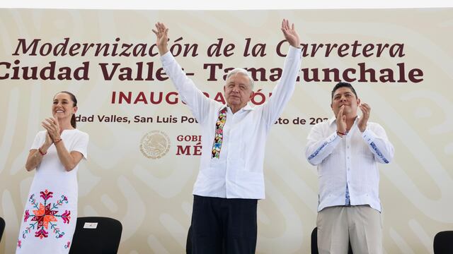 Partido Verde apoyará Plan C "con todo"
