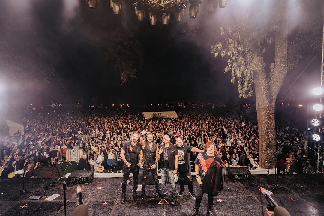 Elefante en concierto