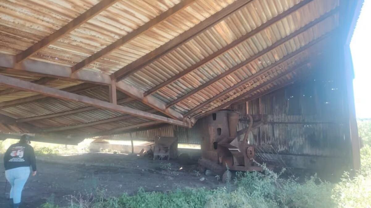Colectivo localiza campo de exterminio en Tamaulipas con fosas y restos óseos