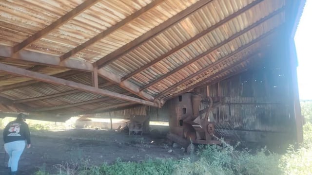 Colectivo halla presunto campo de exterminio en Miguel Alemán, Tamaulipas