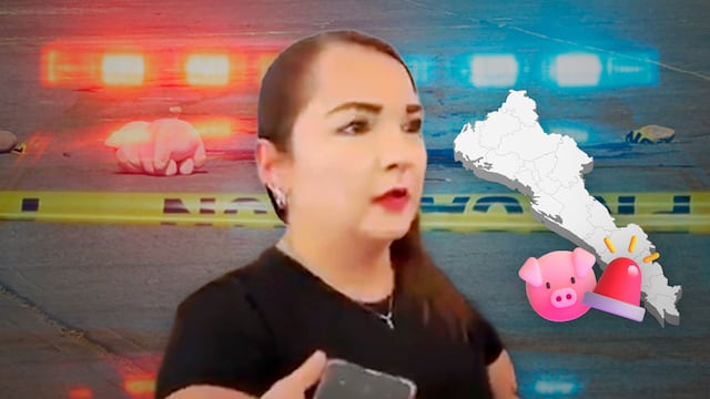 Cerditos de peluche en escenas de homicidios en Culiacán, Sinaloa