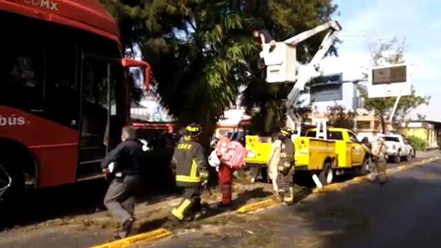 Accidente en la Línea 6 del Metrobús