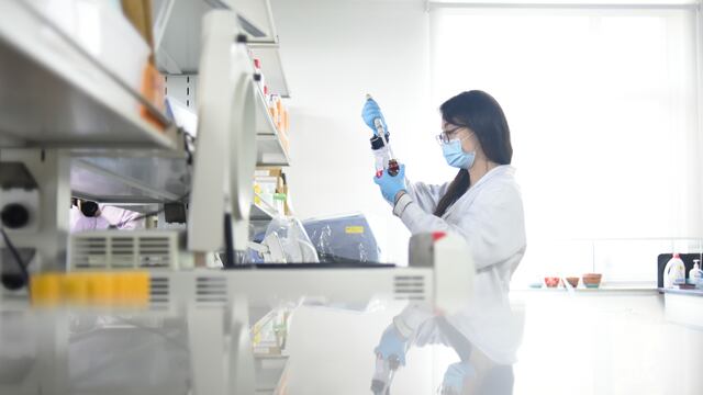 Estudian coronavirus
