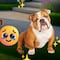 ¿Cuántos años vive un bulldog inglés como Rubble, el cachorro favorito de Paw Patrol?