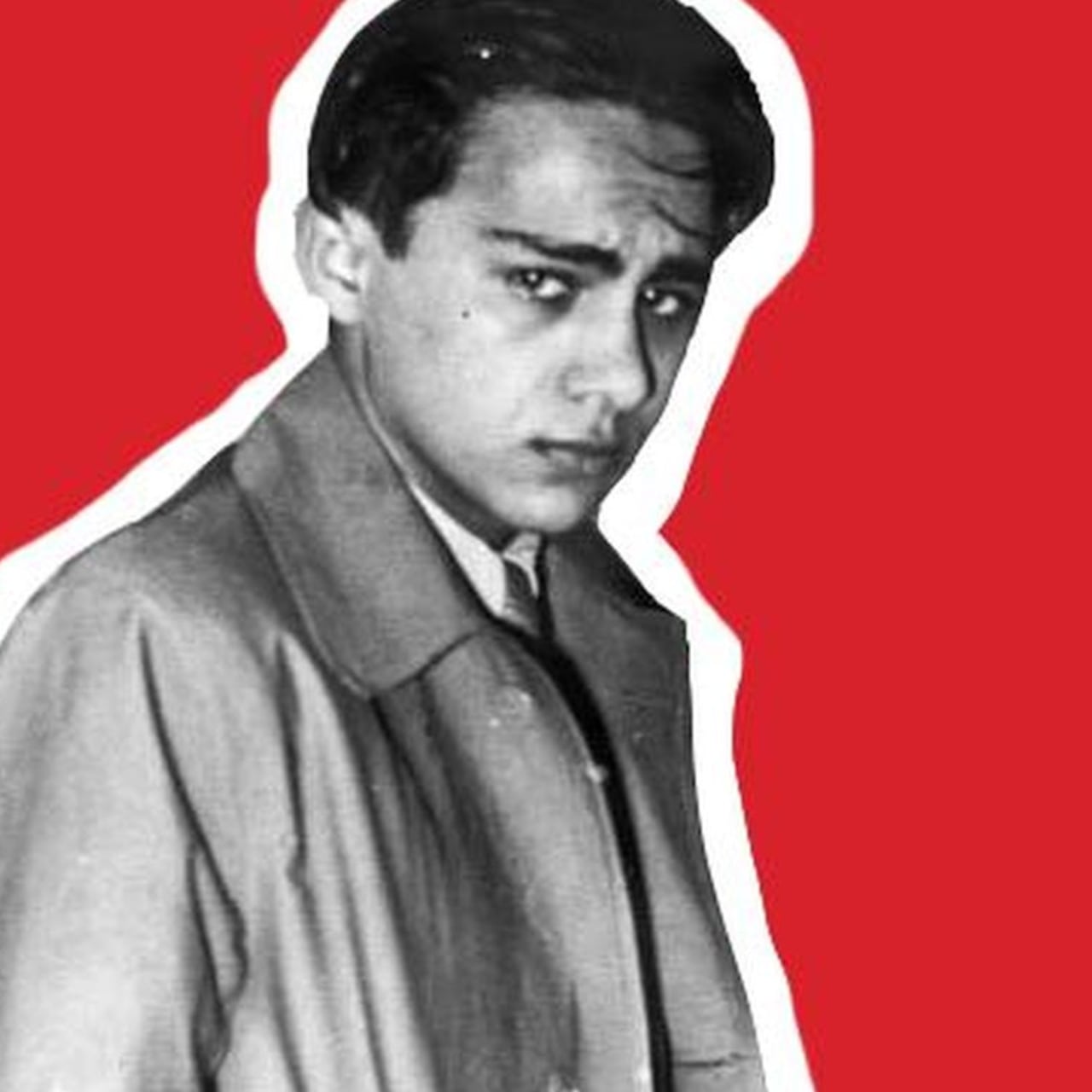 El holocausto nazi fue por culpa de un solo judío
