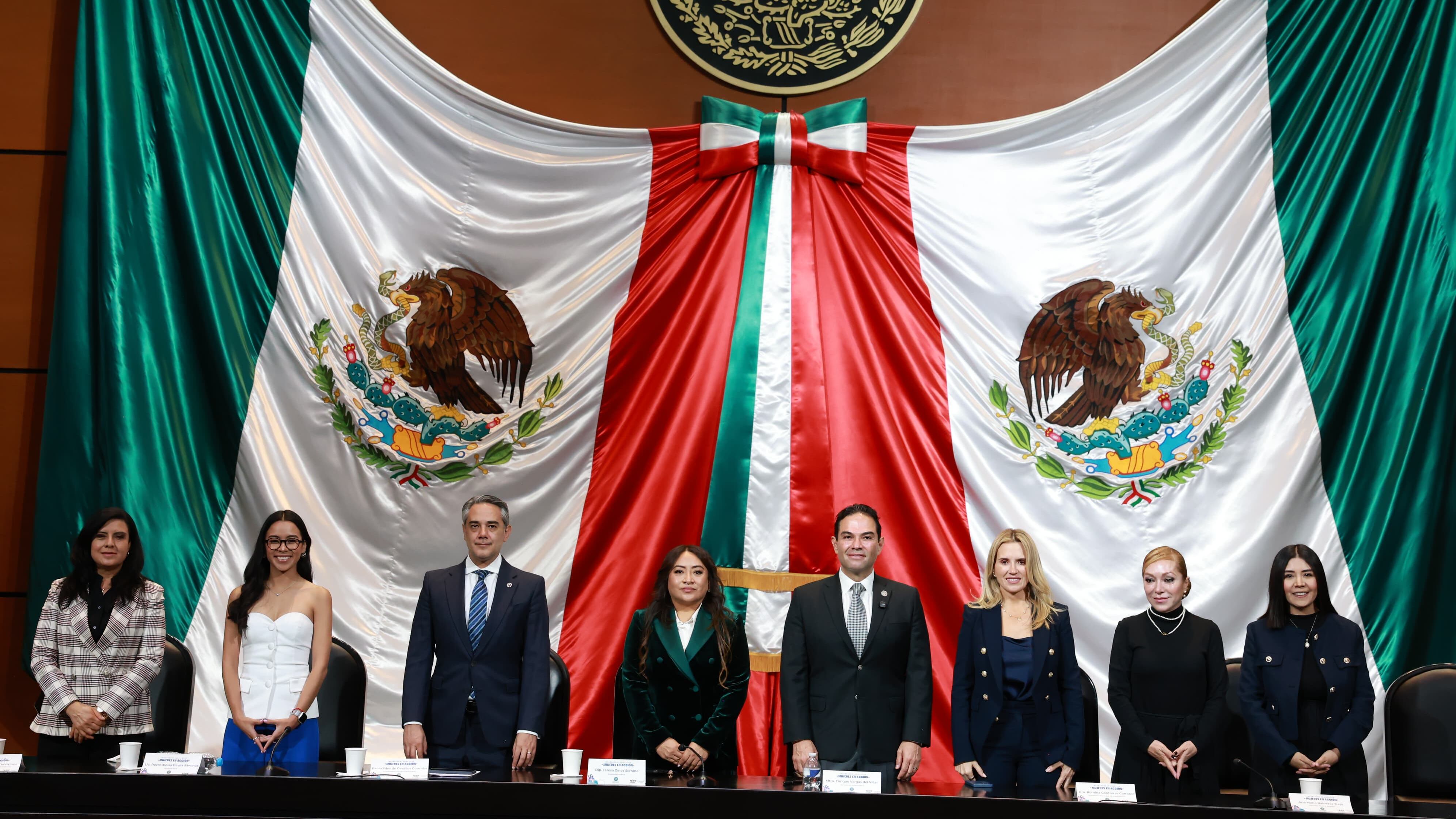 Romina Contreras pidió en Cámara de Diputados legislar por la paridad de género