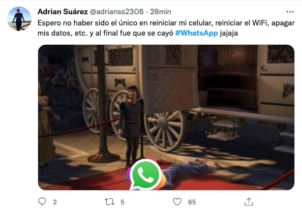FALLAS WHATSAPP (ESPECIAL)
