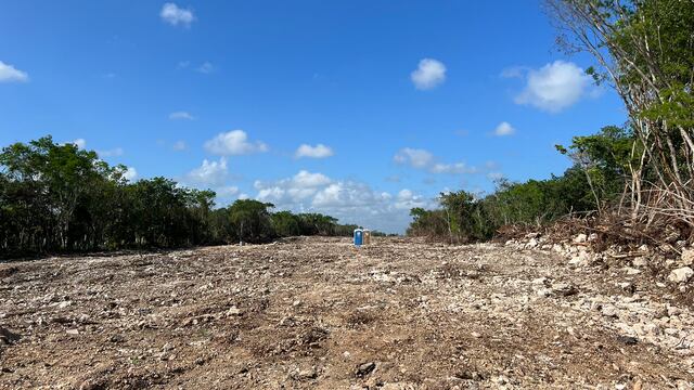 Tala de árboles tramo 5 - Tren Maya