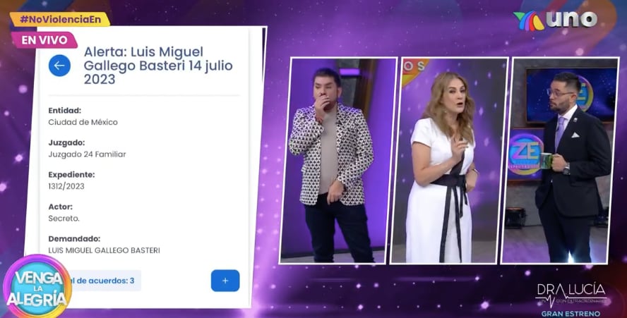 Sí hay pleito entre Luis Miguel y Aracely Arámbula