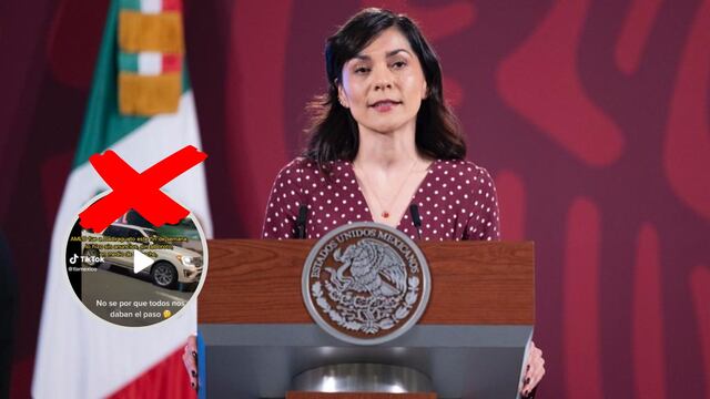 Ana Elizabeth García Vilchis