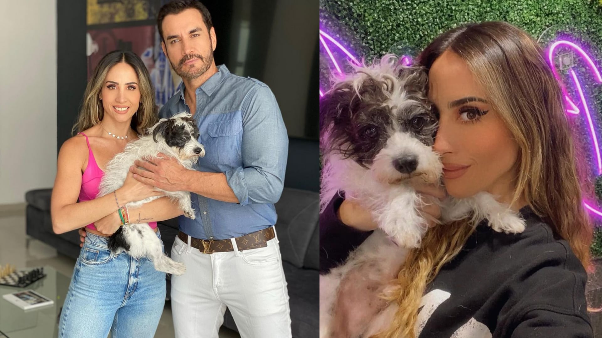 Junior, el perrhijo de David Zepeda y Lina Radwan.