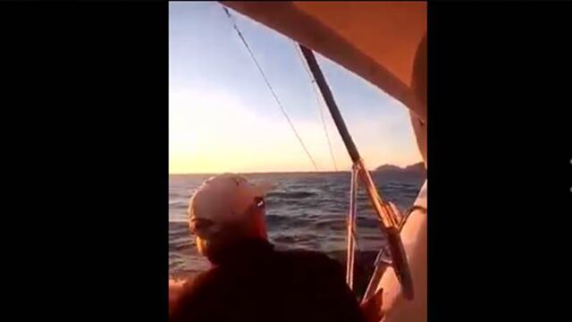 Venado en el Golfo de California