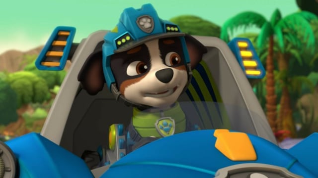 Rex de Paw Patrol