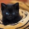 ¿Los gatos negros dan mala suerte? Este es el origen de la superstición que afecta a los michis