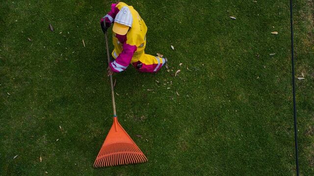 Trabajador de limpia
