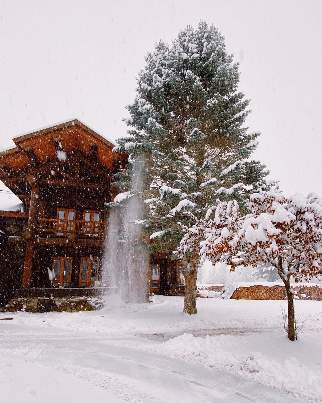 ¿Dónde vive Elán? La influencer que se hizo famosa por sus consejos