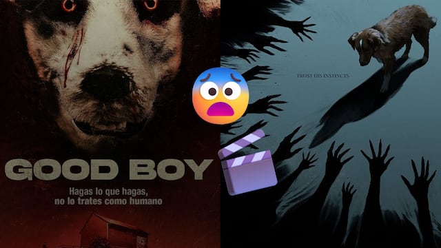 Good Boy es el nombre de dos películas de terror que no tienen nada que ver entre sí