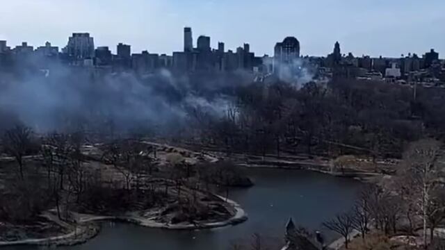 Estados Unidos se reportan incendios en Central Park; aseguran que fueron provocados