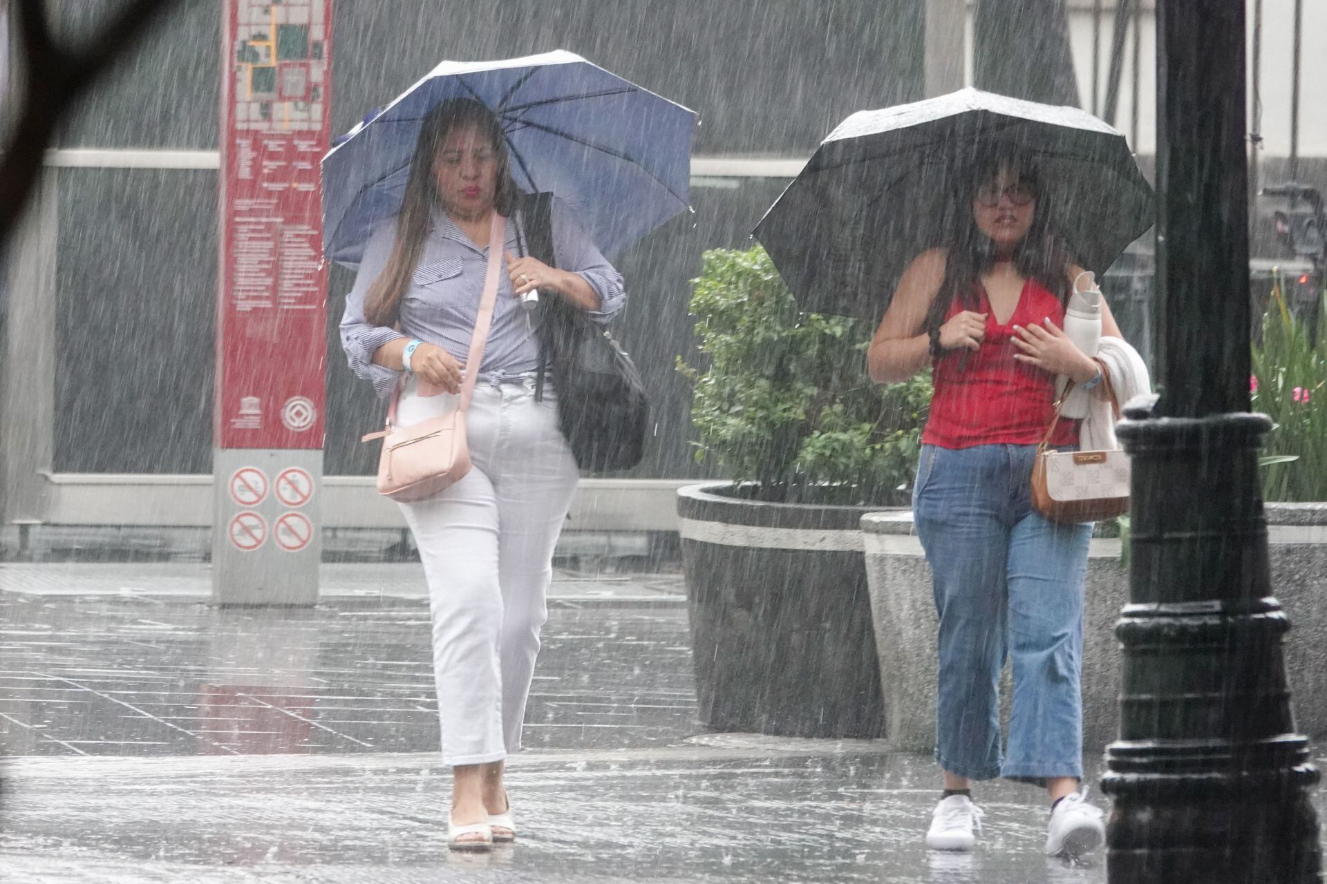 Lluvias para el 16 de septiembre 2025 en estos estados