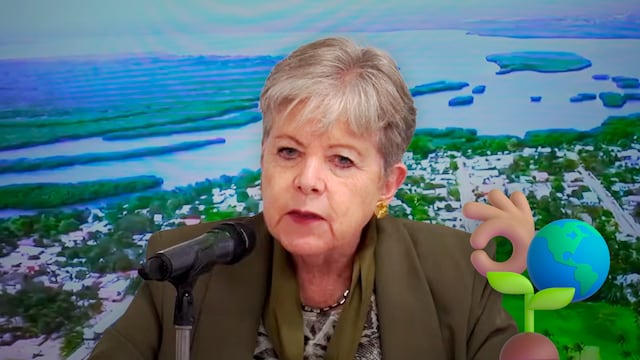 Semarnat afirma que no hay daño ambiental severo en el Golfo de México