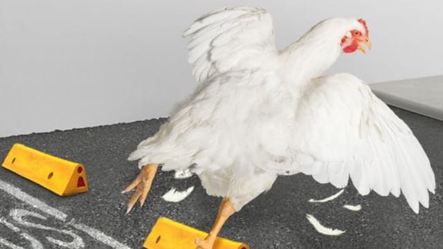 Bachoco, pollo a la poblana