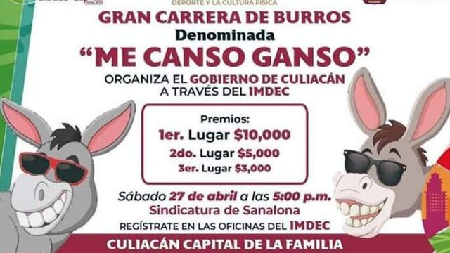 Carrera de burros