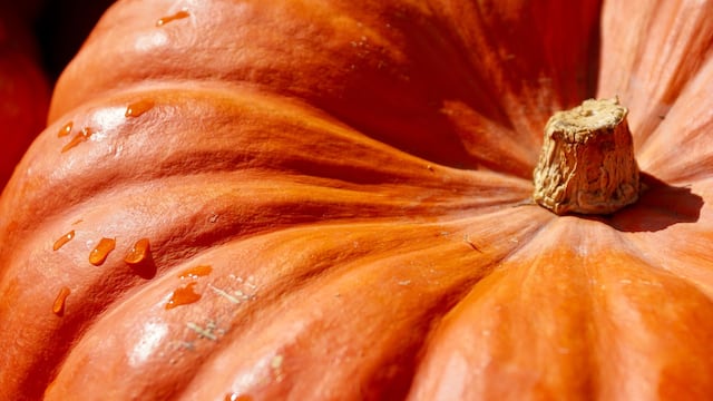Conoce cuál es el precio en Walmart y otros supermercados de calabaza de Castilla