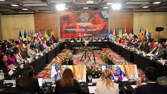 CISS participó en conferencia de la OEA