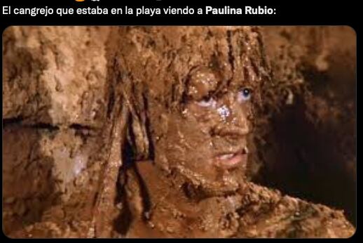Meme de Paulina Rubio 'defecando' en la playa.