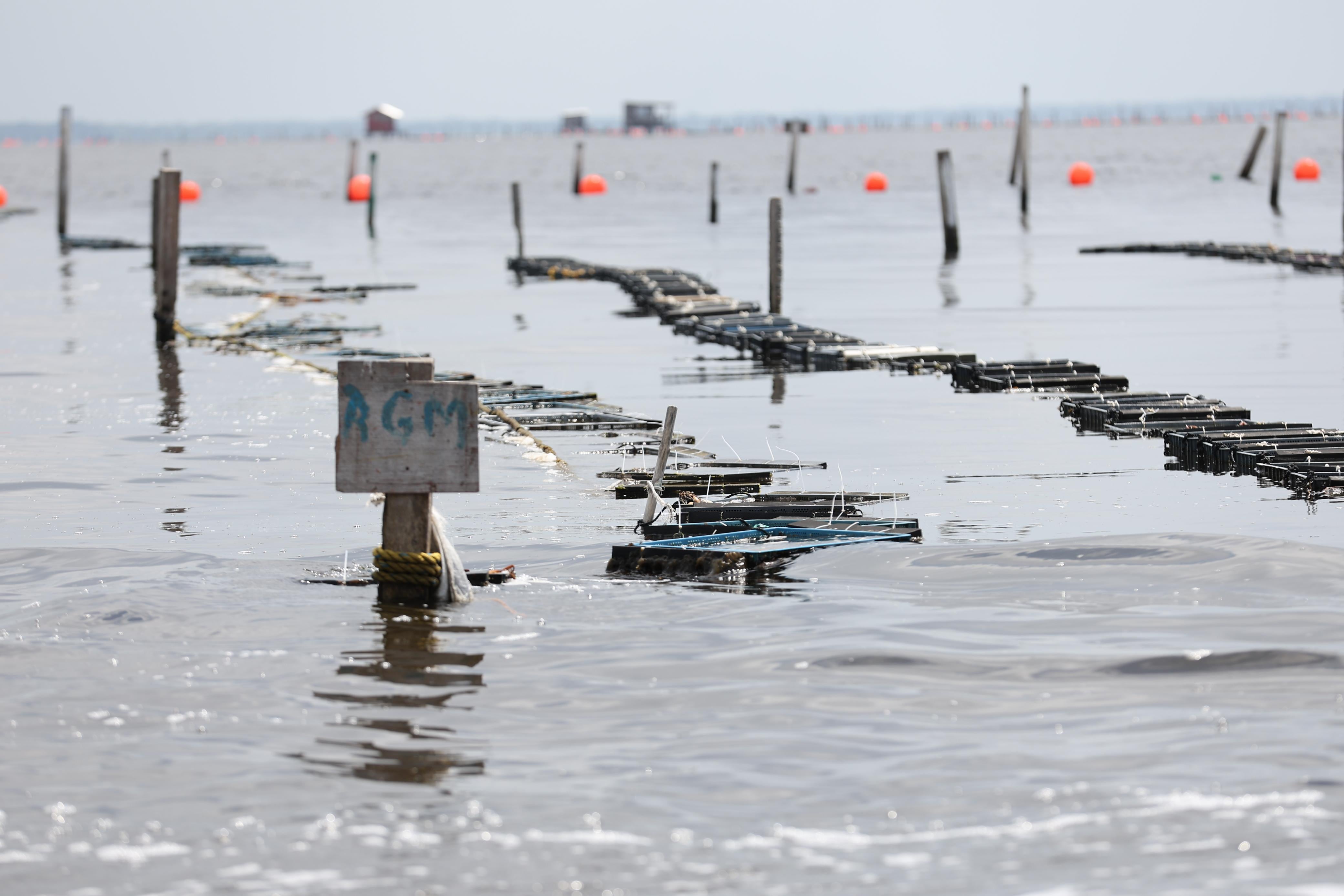 Gobiernos federal y estatal confirmaron condiciones normales en el sistema lagunar de Paraíso