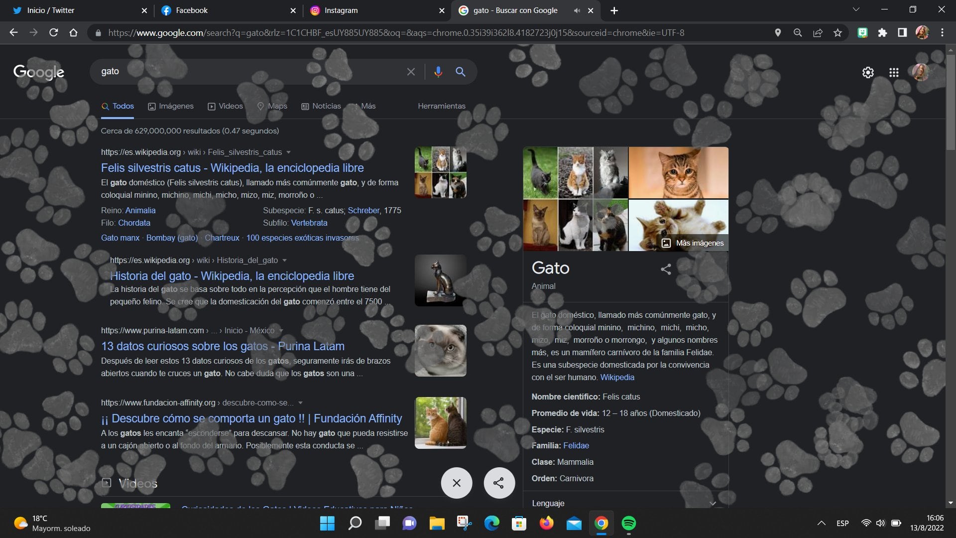 Google si buscas "gato"