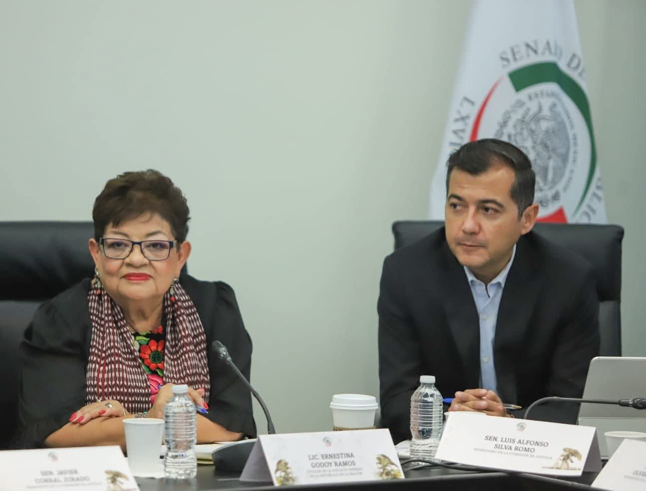 Luis Alfonso Silva Romo, senador de Oaxaca por el PVEM