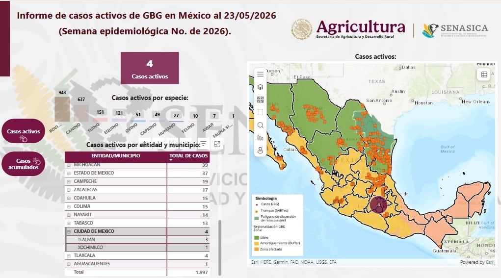 Informe de gusano barrenador en CDMX.