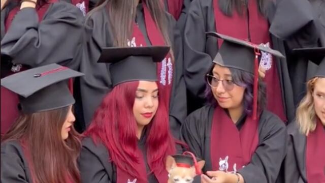 Lleva a su perrito a la foto de graduación