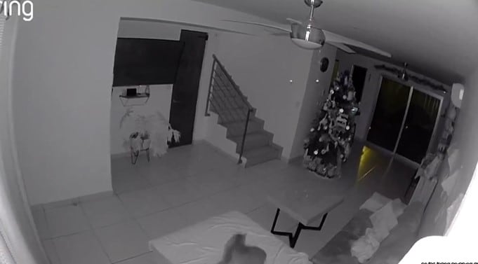 Videos de la sacudida del sismo 6.1 del 12 de enero en Michoacán, Colima y Plaza Garibaldi en CDMX