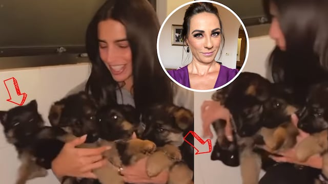 A Bárbara de Regil casi se le cae un perro y Consuelo Duval la enfrentó.