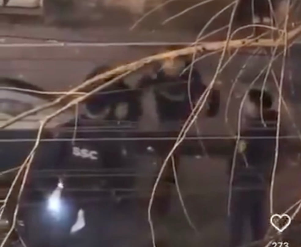 Policías de CDMX golpean a joven en la colonia Roma