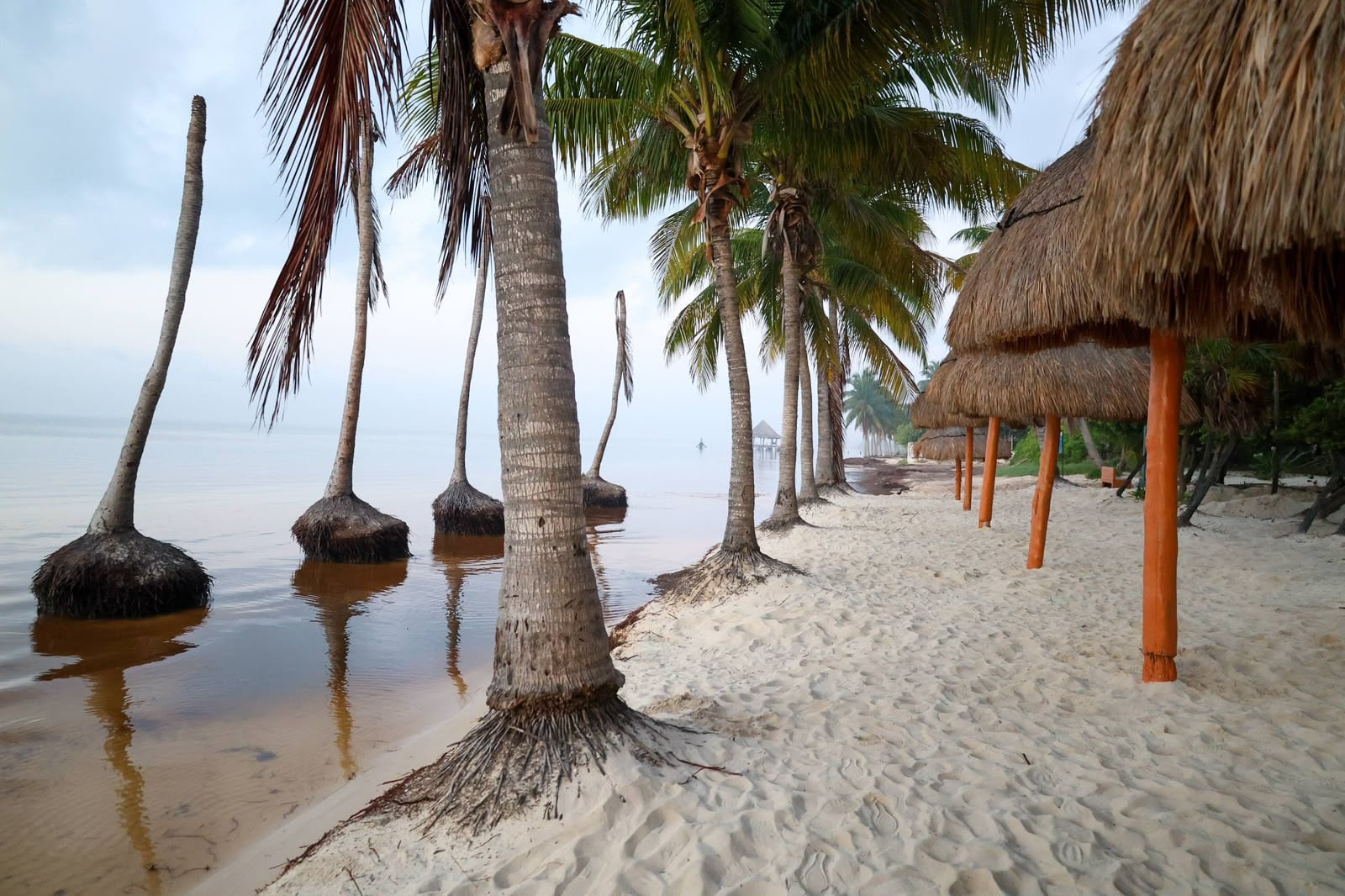 Ayuntamiento de Cancún refuerza limpieza de playas durante vacaciones