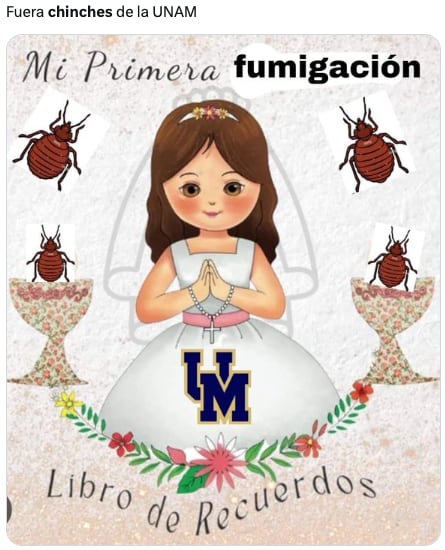 Plaga de chinches de la UNAM en CDMX desata los memes ansiosos de usuarios