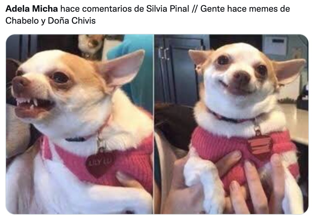 Memes de Adela Micha sobre comentario de Silvia Pinal