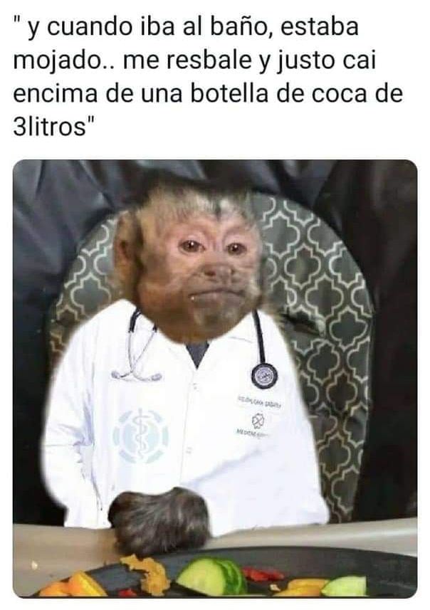 Meme de George, el mono