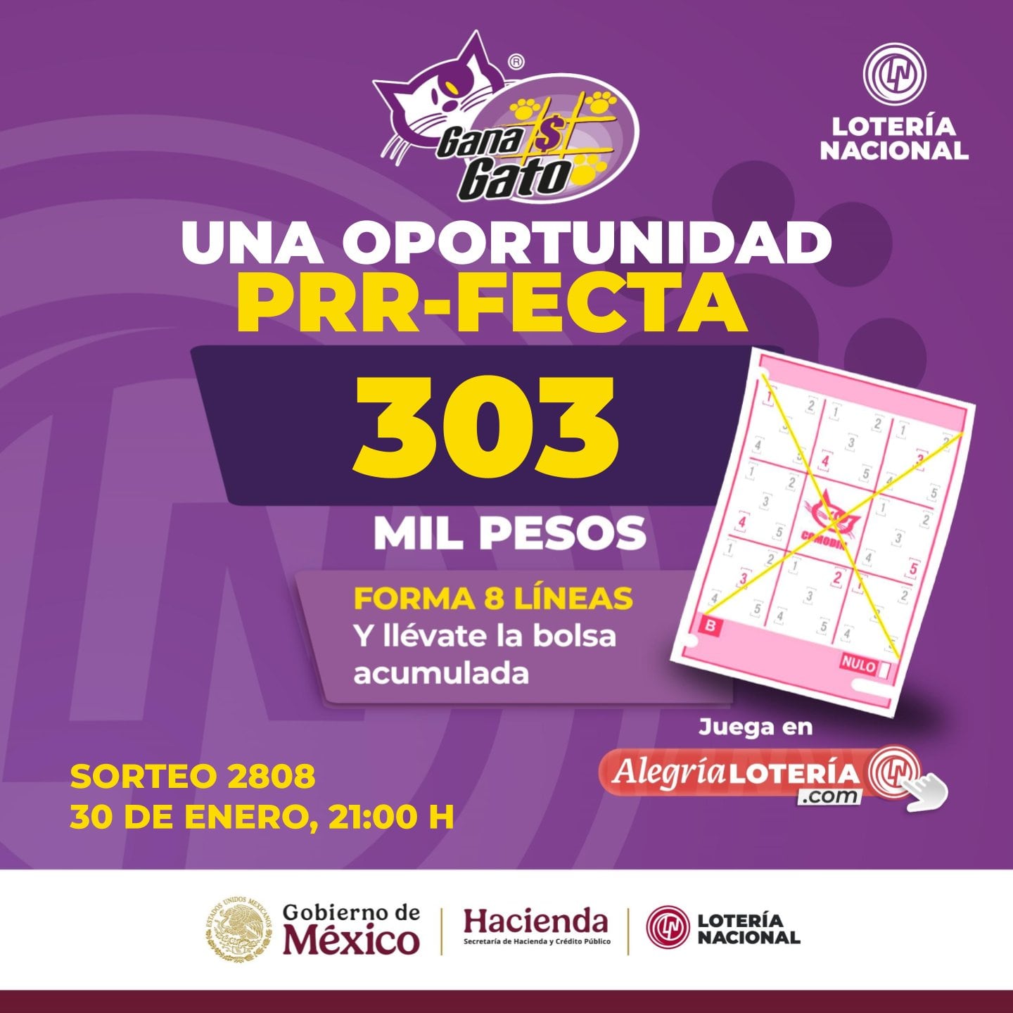 Resultados Sorteo Gana Gato 2808 de Lotería Nacional: Estos son los números ganadores