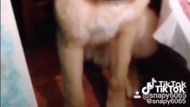 'Lomito' interpretando tres papeles