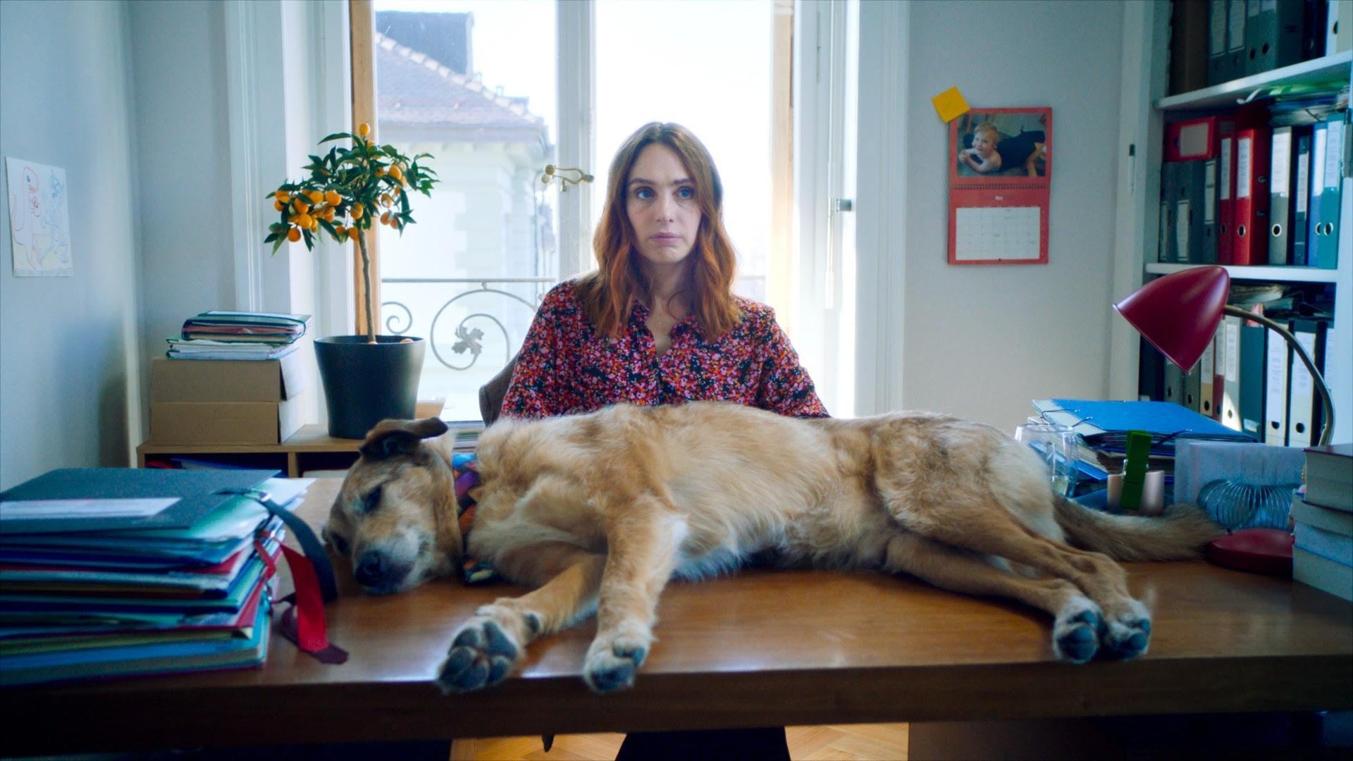El juicio de un perro, película