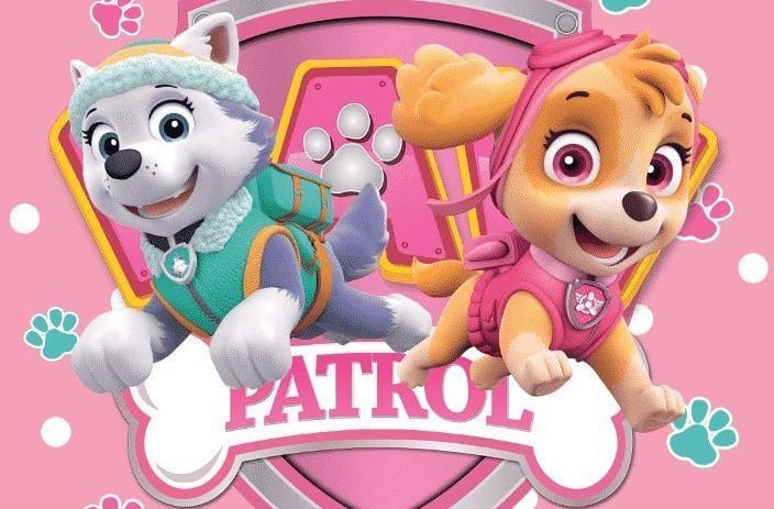 Fondos de pantalla de Skye y Everest de Paw Patrol para computadora