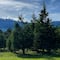 5 lugares para cortar el árbol de Navidad en una escapada de fin de semana