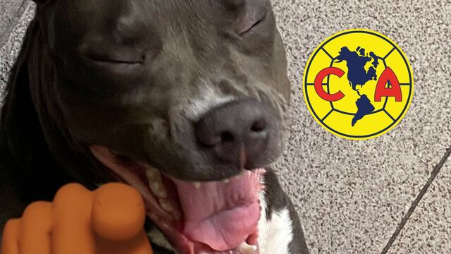 Meme América vs Pachuca en la Concachampions