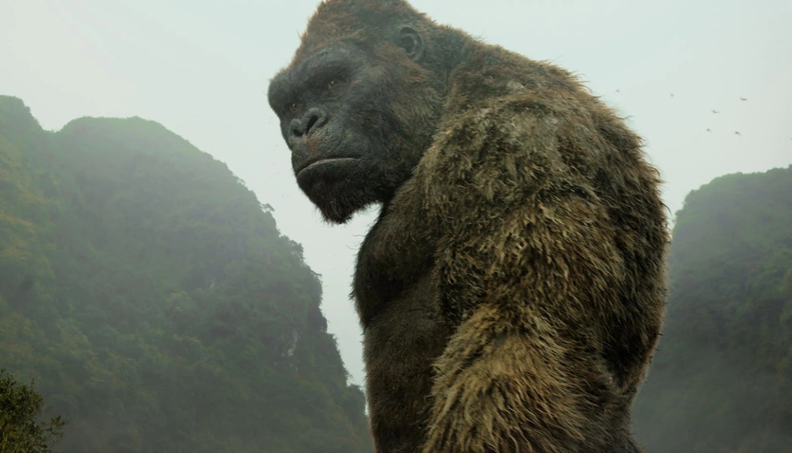 King Kong en el MonsterVerse